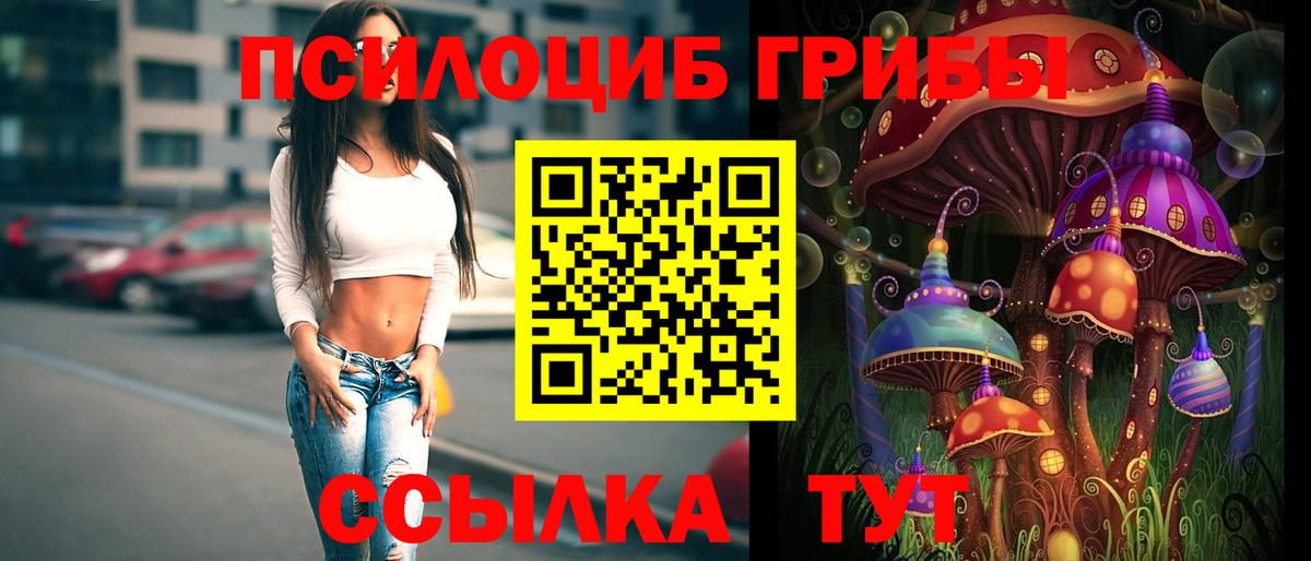 Псилоцибиновые грибы Psilocybine cubensis Тула